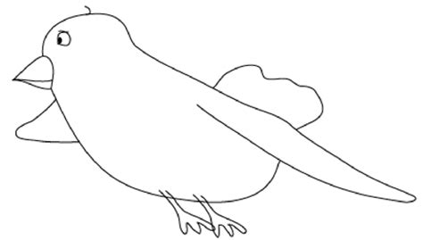 bird outline drawing   bird outline drawing png