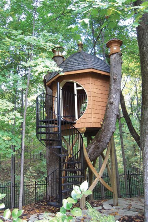 unique treehouse  great backyard addition beautiful tree houses tree houses  treehouse