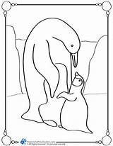 Baby Penguin Coloring Pages Printable Penguins Getcoloringpages Cute Family sketch template