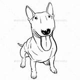 Terrier Bullterrier Drawings Clipground sketch template