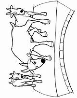 Billy Goats Gruff Ziege Ausmalbilder sketch template