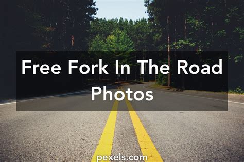 great fork   road  pexels  stock