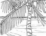 Boardwalk Designlooter Palm Scene sketch template