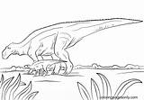 Maiasaura Jurassic Cretaceous Dino Pertaining Justcoloringbook sketch template