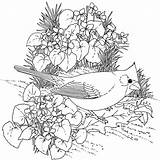 Coloring Birds Pages Flowers Bird Library Clipart Sheets Adult sketch template