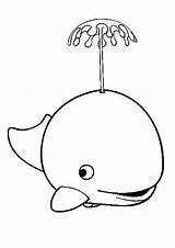 Whale Coloring Cute Water Baby Killer Blue Drawing Spouting Color Whales Kids Beluga Pages Outline Clipart Cartoon Cliparts Spurting Clip sketch template