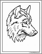 Wolf Coloring Pages Head Color Print Printable Detailed Step Drawing Realistic Customize Kids Getcolorings Getdrawings Colorwithfuzzy sketch template