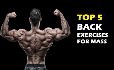 Muscle Palace The Best Back Workout For Mass Target Every Muscle