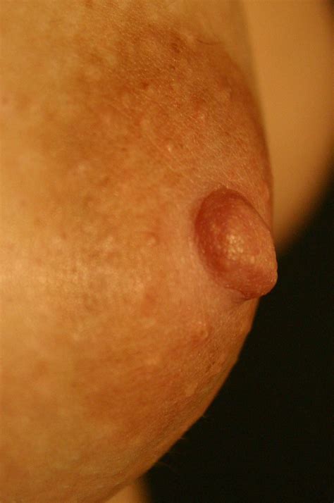 close up pics of nipples xnxx adult forum