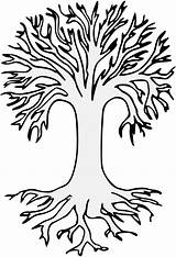 Tree Roots Clipart Coloring Getdrawings Silhouette Webstockreview sketch template