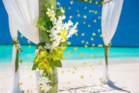 beach weddings inspiration venues expert tips sandals