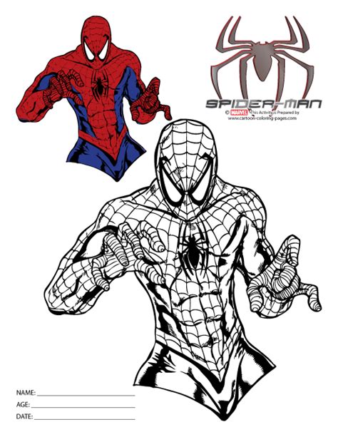 spiderman logo  coloring pages png  file  mockup