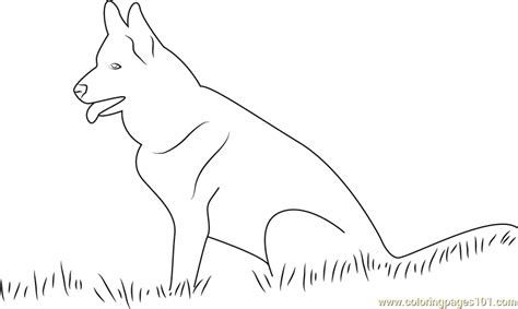 labrador dog coloring page  kids  dog printable coloring pages