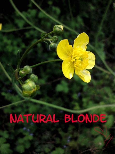 Natural Blonde By Margot 21 Natural Blondes Nature