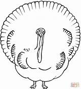 Turkey Outline Coloring Pages Looks Printable Drawing Supercoloring Peacock Clipart Turkeys Popular Getdrawings Library Comments Coloringhome sketch template