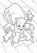 Ausmalbilder Katzen Malvorlagen Lillifee Prinzessin Katze Colouring Kids Malvorlage sketch template