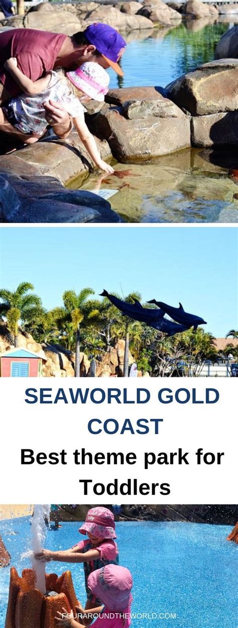 seaworld gold coast   theme park  toddlers sea world