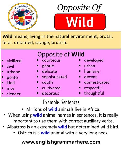 opposite of wild antonyms of wild meaning and example sentences hot