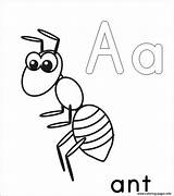 Ant Coloring Pages Printable Alphabet Kids Template Color Drawing Print Ants Book Cartoon Apple Preschool Grasshopper Anthill Coloringbay Clipartmag Getdrawings sketch template
