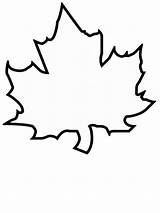 Simple Labeled Leaf Template Coloring Pages sketch template