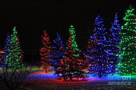 christmas tree lights photograph  helen bobis