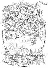 Mangrove sketch template
