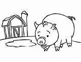 Coloring Pages Pig Baby Angry Birds Bestcoloringpagesforkids Via sketch template