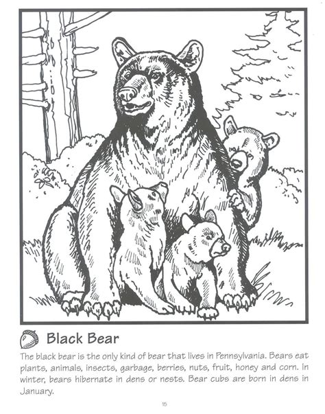 black bear horse coloring pages colouring pages adult coloring pages