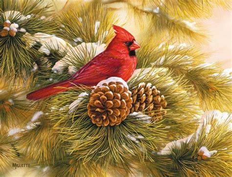 painting  cardinal  pine tree  pine cones boxed christmas cards