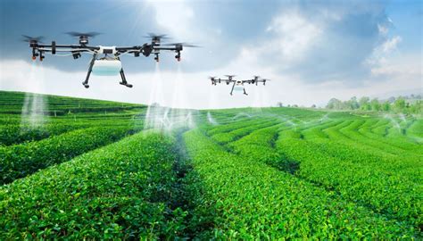aplicaciones operativas de los drones en agriculturas de precision universidad agricola
