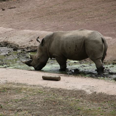 gaiazoo met kleine kinderen