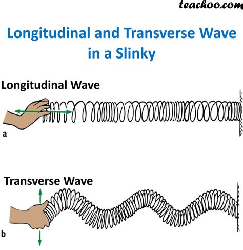 longitudinal wave  transverse shajara