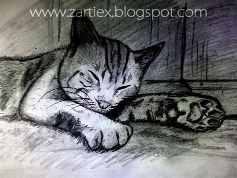 dibujos de gatos  lapiz  seenartseeds  deviantart