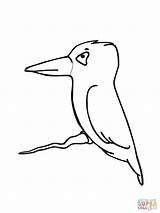 Kingfisher Coloring Pages Bird Cute Little Drawing Birds Online Kids Kiwi Belted Color Easy Clipartmag Getdrawings Supercoloring sketch template