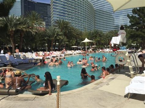 Busy Pool Area Beds On Top Of Each Other Picture Of Aria