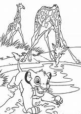Lion King Coloring Pages Printable sketch template