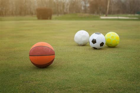 sports balls  grass field stock image image  competition