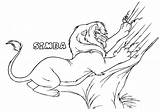 Coloring Lion King Pages Simba Grown Kids sketch template