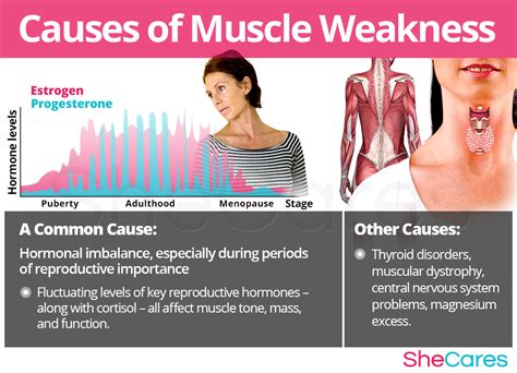 muscle weakness shecares