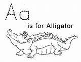 Alligator Kolorowanki Aligator Crocodile Pobrania Pobierz Drukuj sketch template