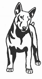 Terrier Bull Drawing English Stencil Silhouette Dogstampsplus Dog Outline Bullterrier Coloring Patterns Stencils Bully American Gif Clipartmag sketch template