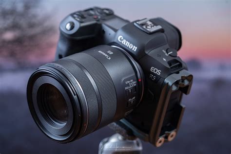 fstoppers reviews  canon rf mm  macro  stm lens fstoppers