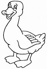 Duck Coloring Animals Pages Printable Drawing Drawings sketch template