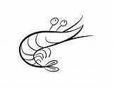Coloring Shrimp Getcolorings Pages Printable Color sketch template