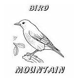 Nevada Coloring Book Themed Printable Christine Hull Copyright State Bird Pinwheel Windy Sheet Mountain sketch template