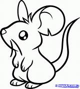Mouse Cute Drawing Draw Step Clipart sketch template