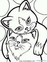 Coloring Cat Pages Cute Kittens Colouring Printable Print Kitty Kids Sheets Choose Board sketch template