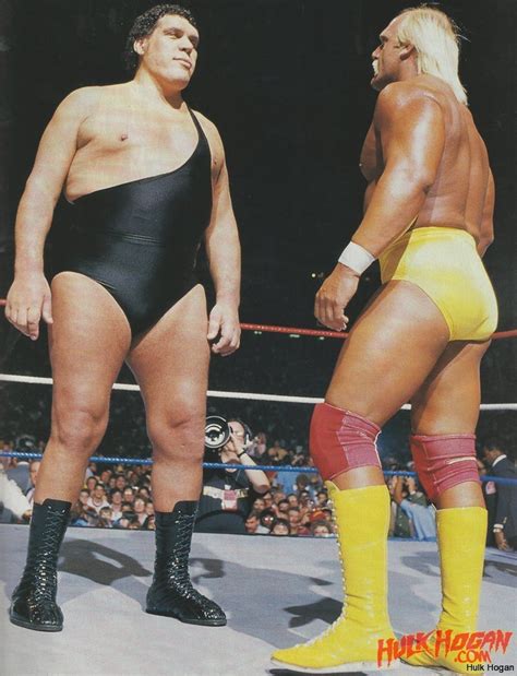 Adam S Wrestling Greatest Moments In Hulk Hogan S Career