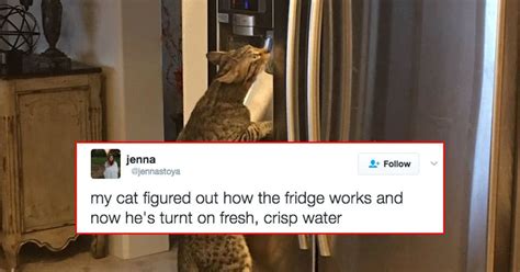 31 tweets that prove 2017 isn t so bad after all when