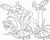 Pages Coloring Preschool Bugs Getcolorings Bug sketch template